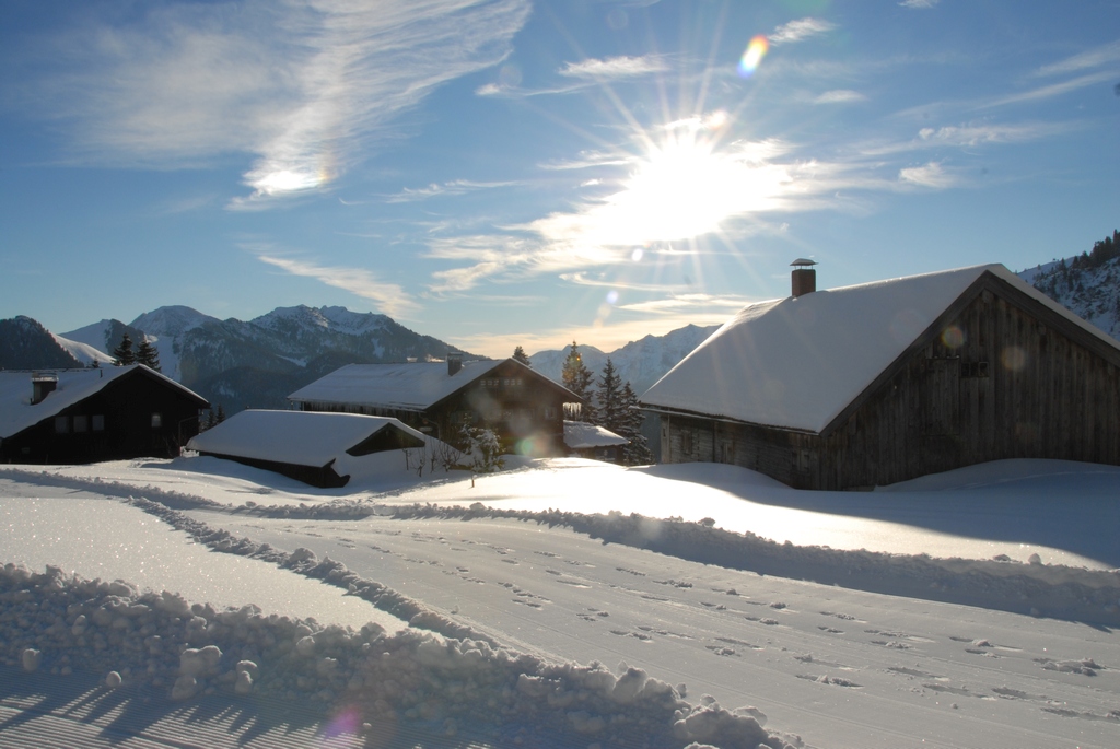 110129 Avocado Skirennen Firstalm 0048 s1024