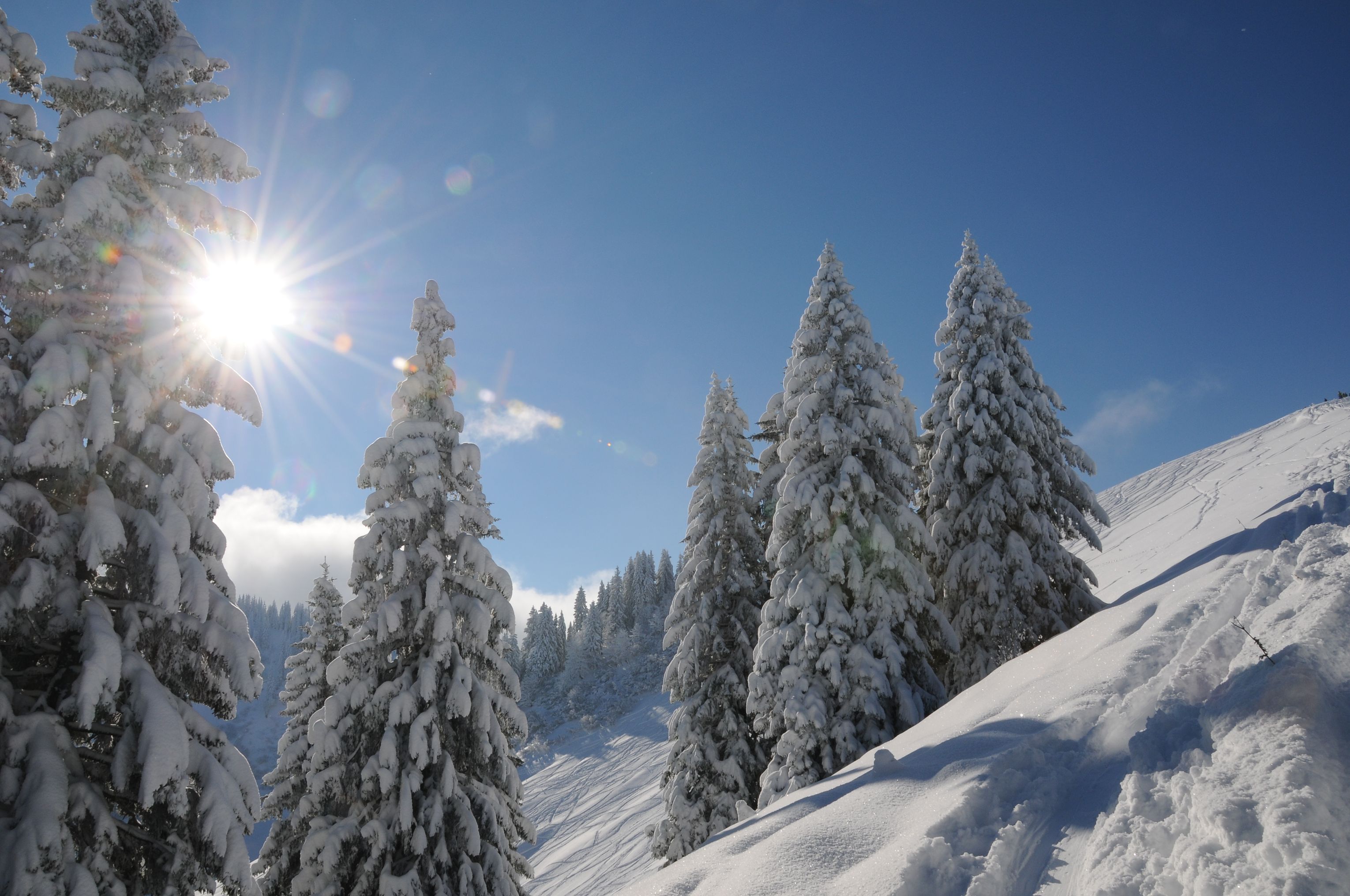131127 Skitour rosskopf sonnig 0036