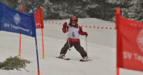 150222 ZienerCup Hirschberg 017